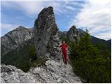 Dovje - Planica